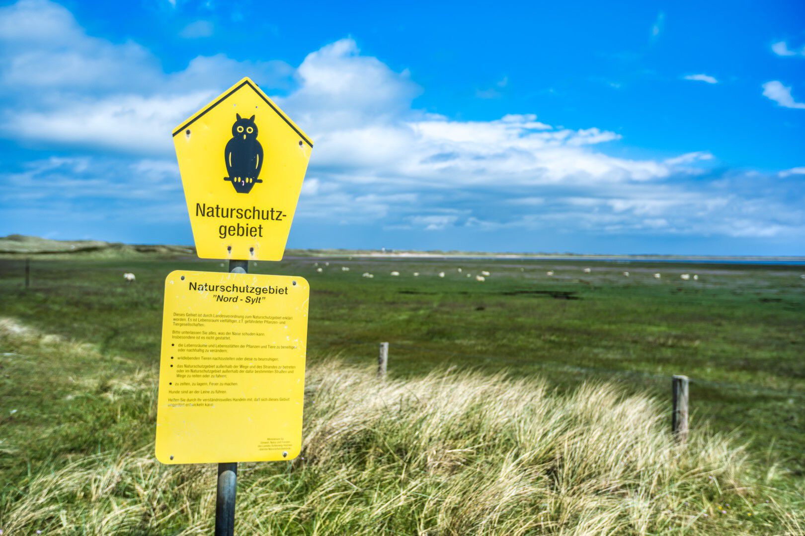 Ferien in Sylt