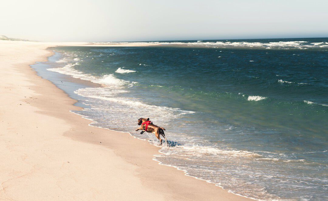 Ferien in Sylt