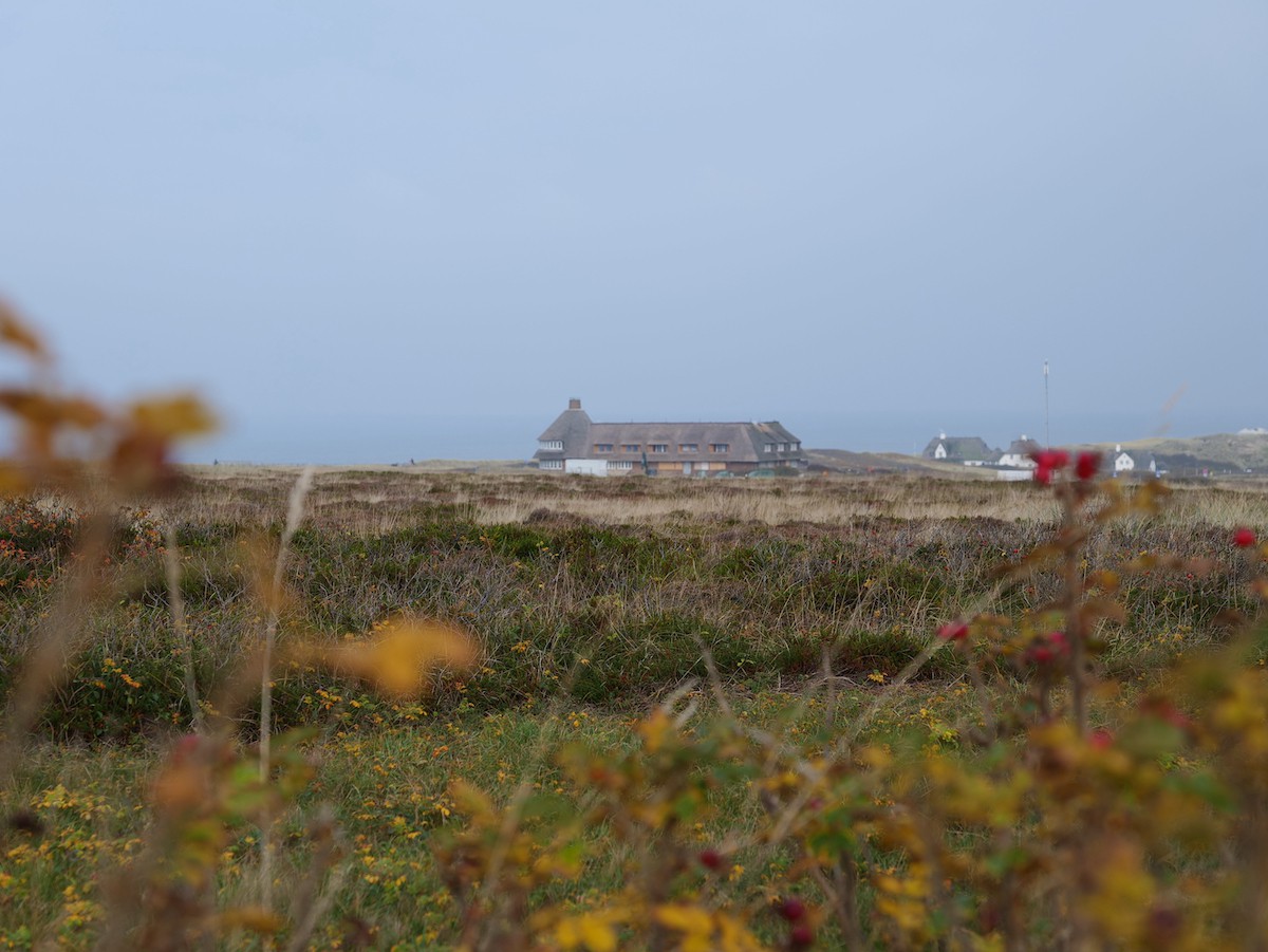 Ferien in Sylt