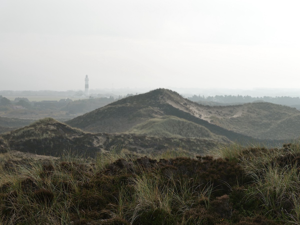 Ferien in Sylt