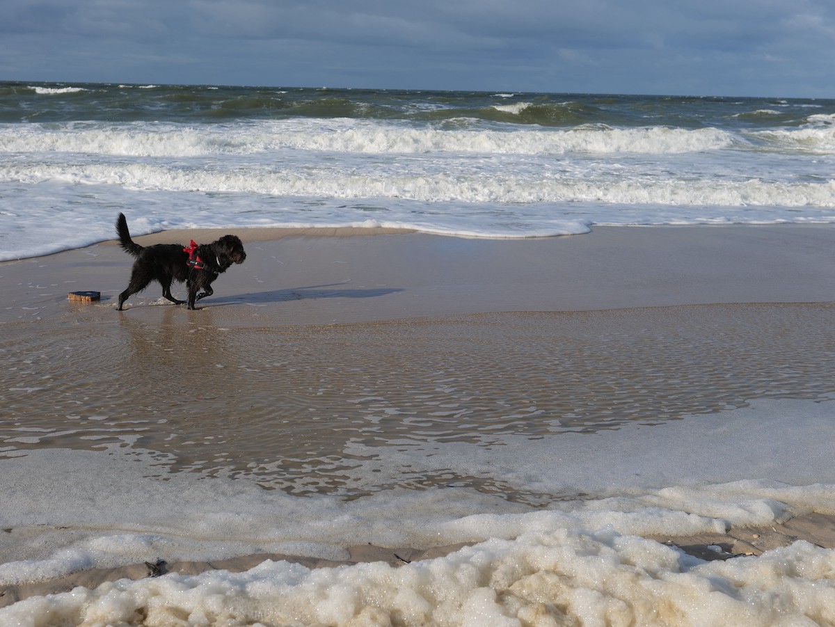 Ferien in Sylt