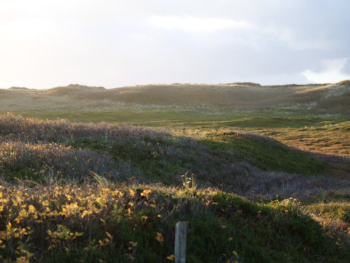 Ferien in Sylt