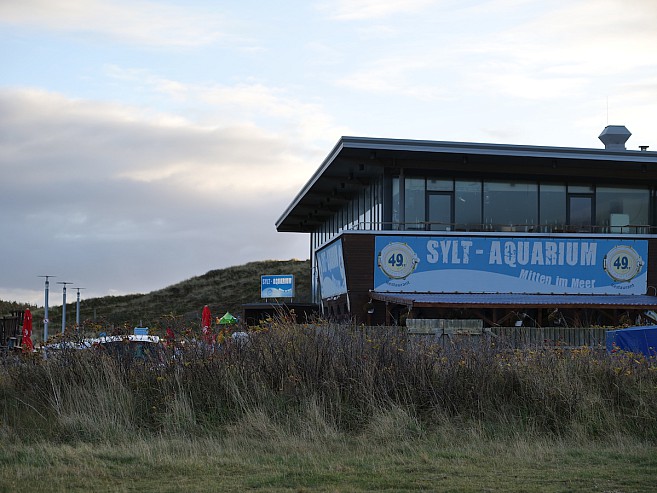 Boho Sylt